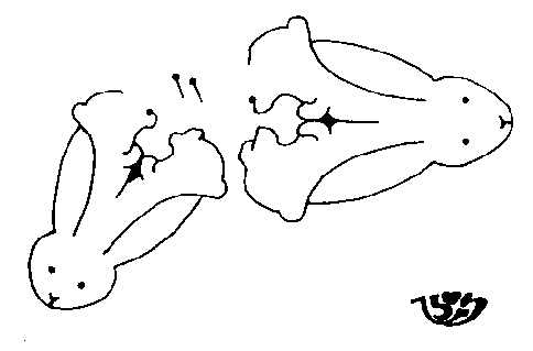 �������s�N�`���[�p�Y��